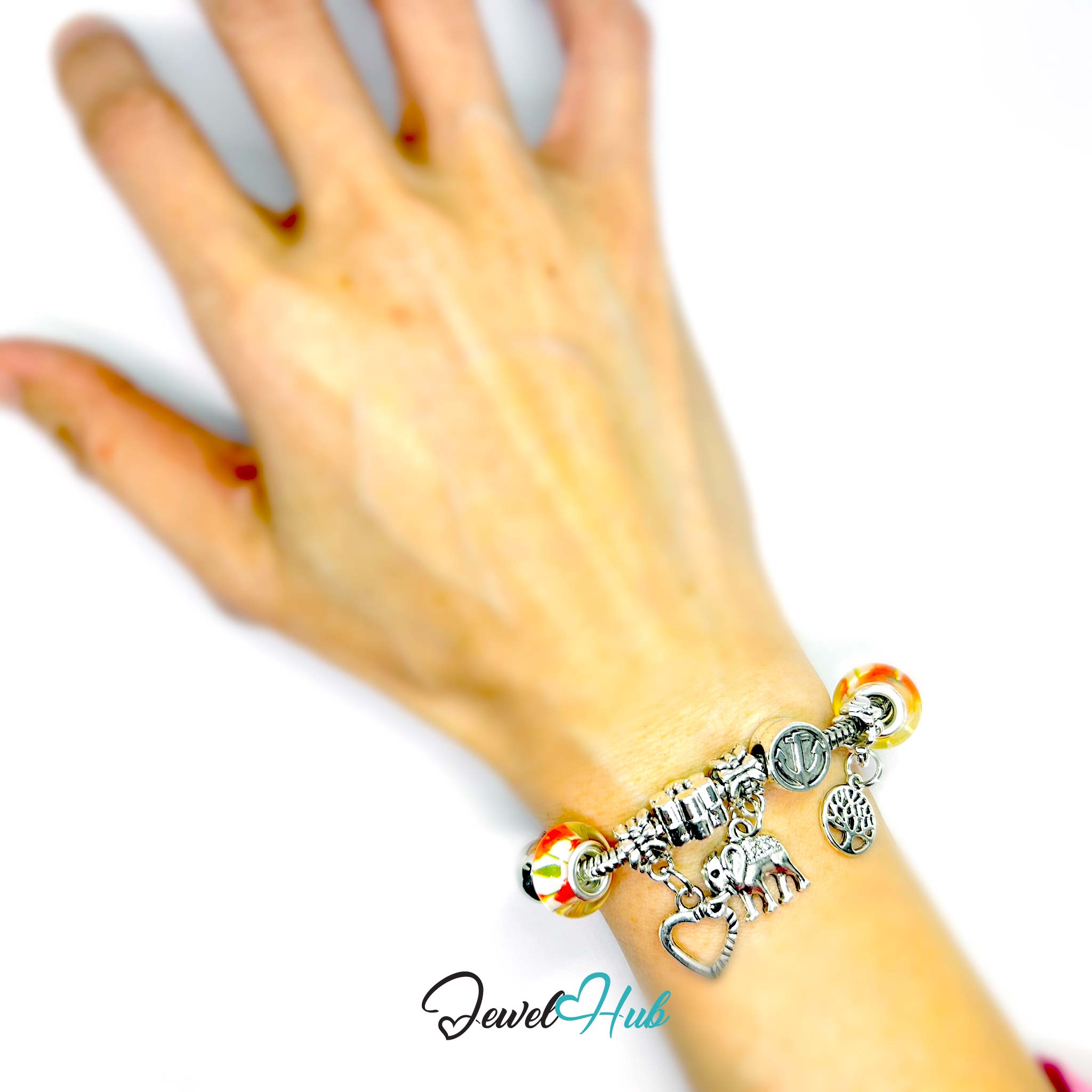 Hand wearing a colorful charm bracelet on a white background with 'Jewel Hub' branding.