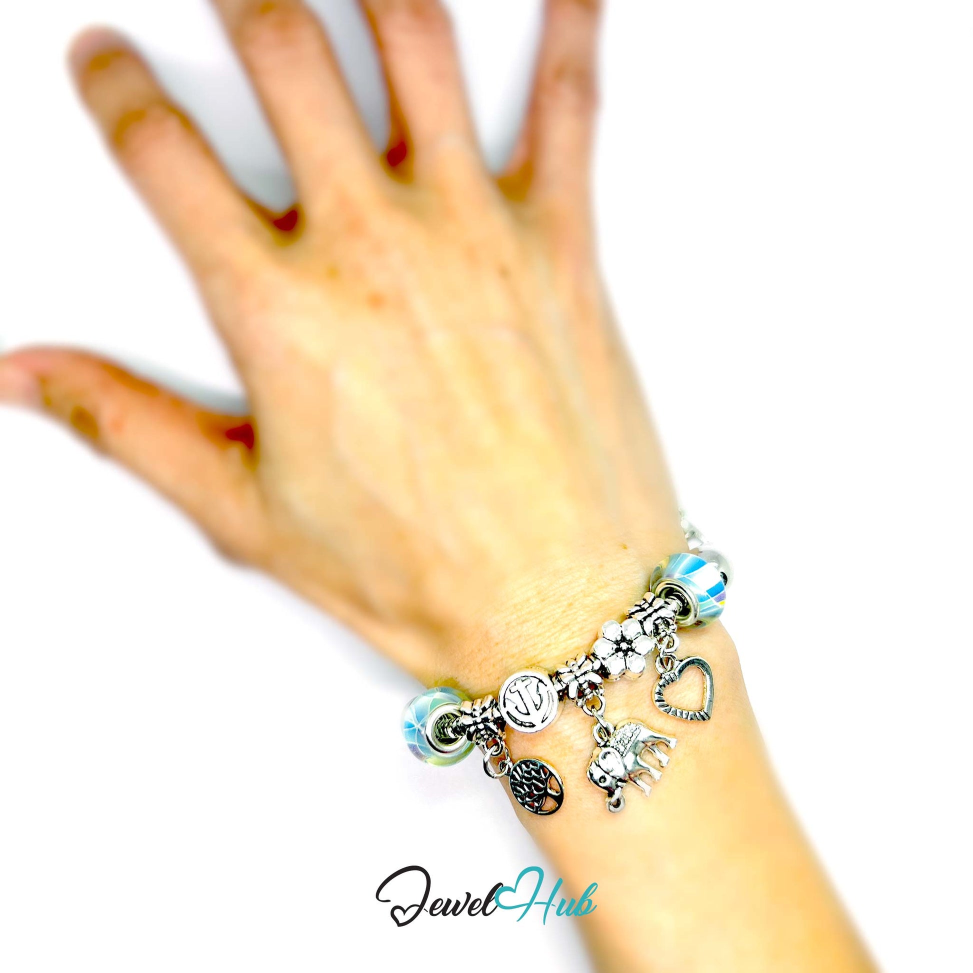 Hand wearing a charm bracelet with various charms on a white background, brand 'Jewel Hub' visible.