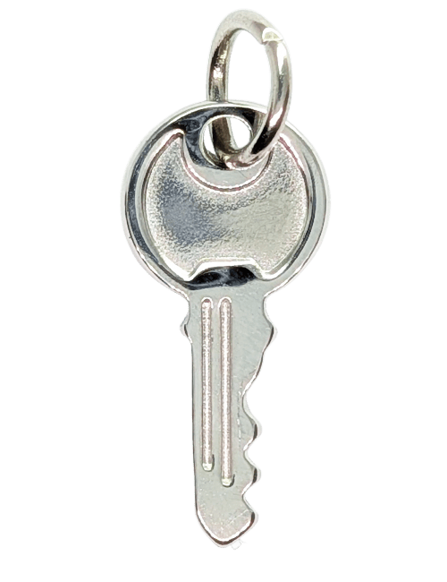 Everyday key charm in silver stainless steel with a plain round head - JewelHub