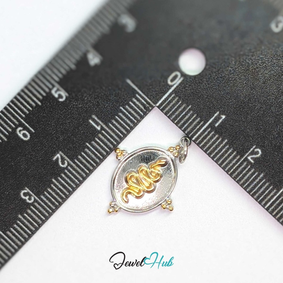 Snake Oval charm, two-tone stainless steel, measured against a ruler at 17.2 x 22.5mm - JewelHub