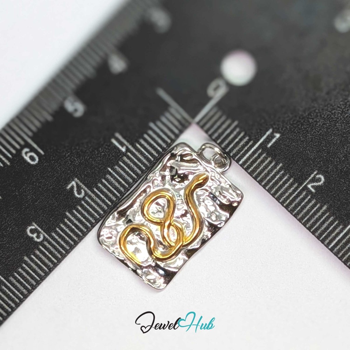 Snake Plate charm, two-tone stainless steel, measured against a ruler at 15 x 25mm - JewelHub