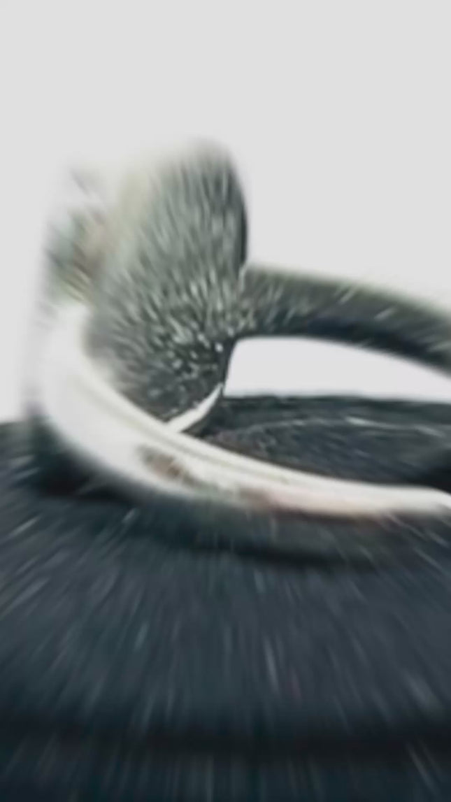 Brushed Oval Silver Ring | Adjustable 925 Sterling Band with Textured Face