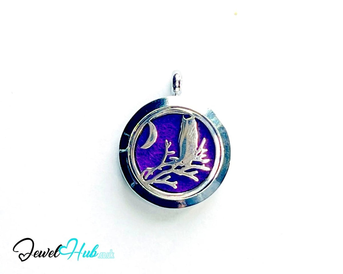 Stainless Steel Aromatherapy Pendant for Wisdom & Calm 🦉 Moonlight Owl - JewelHub.co.uk